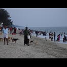 Zum Sonnenuntergang versammeln sich die überwiegend indischen Touristen am Strand